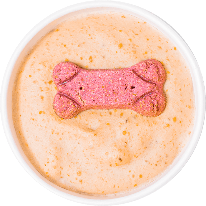 A milk dog bone on top of a pet friendly smoothie bowl. 